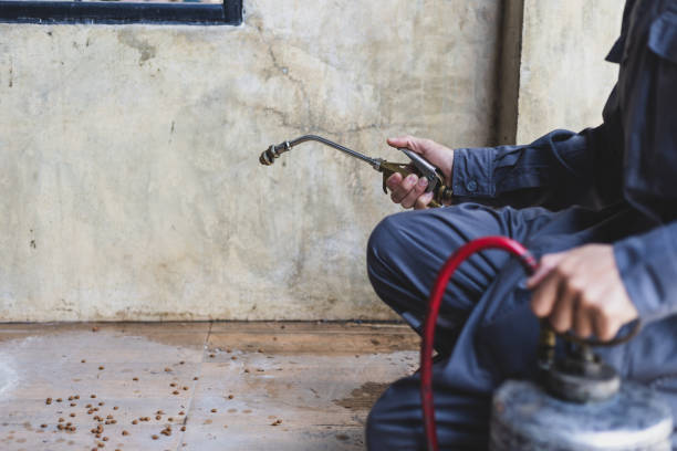 Reliable Cheval, FL Pest Control Solutions