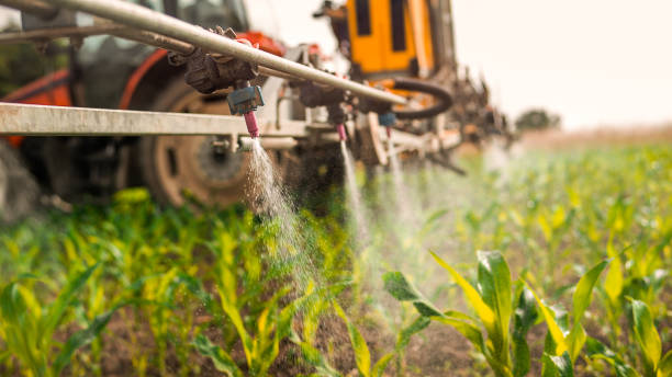 Best Mosquito Control Services  in Cheval, FL
